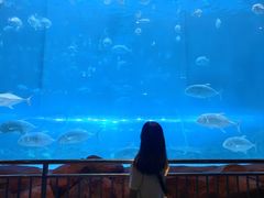 -华夏文旅海洋公园