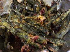 -金海椒罐罐鲢鱼(东方桂苑店)