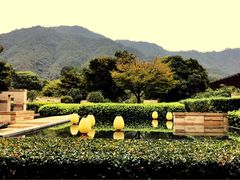 -羡餐厅·杭帮菜·淳菜(千岛湖自由洲际殿店)