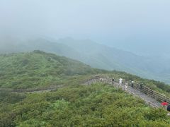 -大围山国家森林公园