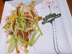 芹菜芽菜炒榆耳丝-十二舍·湯物素煮(江泰潤政店)