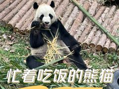 -黔灵山公园