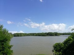 -大湾区中央湿地公园