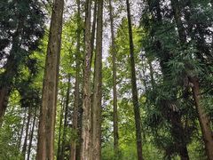 -山王坪喀斯特国家生态公园