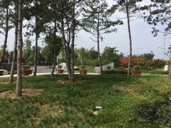 -洨河生态公园