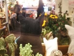 -Kitchen·Y洋厨房西餐厅(王府壹号店)