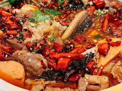 毛血旺-张生记(丁香国际店)