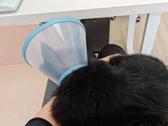 -柏萃动物医院·骨科·牙科