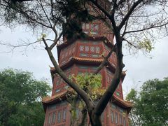 -房湖公园