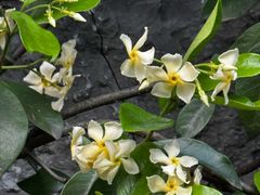 -黔府豆米火锅野菜馆(南马店)