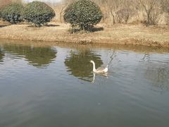 -西安浐灞国家湿地公园