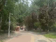 -燕郊植物园