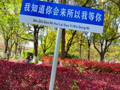 -高东镇樱花园