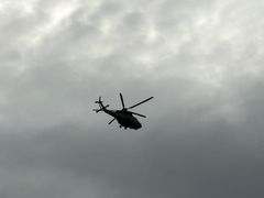 -Cupping Room(Harbour City)