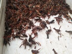 -海鲜皇宫(景泰翰林店)