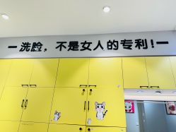 -洗脸猫·洗脸吧