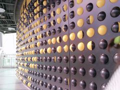 -陕西自然博物馆