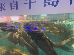 -鸽子侯·家宴·平价海鲜(市图书馆店)