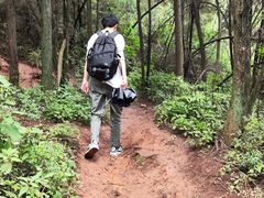 -长虫山生态公园风景林