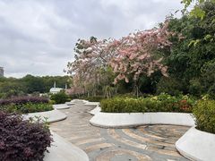 -深圳国际园林花卉博览园