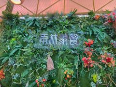 -野象谷景区