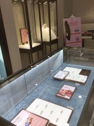 -钻石小鸟钻戒婚戒定制(石路店)