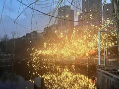 -海合安武汉极地海洋公园