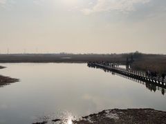 -宁波杭州湾国家湿地公园