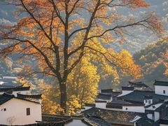 -塔川景区