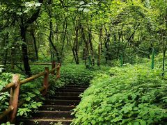-九峰山
