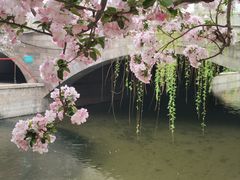 -元大都城垣遗址公园