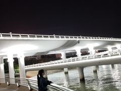 -演武大桥观景平台