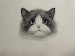 -信马画室 成人零基础到个人创作画室(亚运村店)