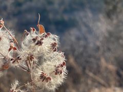 -鬼笑石后山停车场