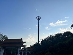 -深圳仙湖植物园