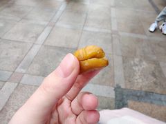 -鑫栗王(庙前街总店)