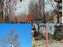 -北京动物园