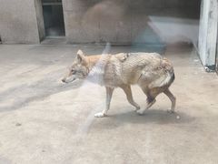 -西安秦岭野生动物园