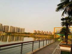 -白塘生态植物园