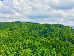 -山王坪喀斯特国家生态公园