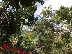 -呀诺达热带雨林