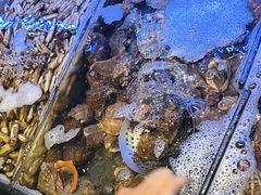 -醉御香渔家园(临沂路与大连路店)