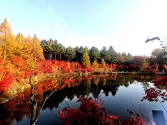 -本溪老边沟风景区