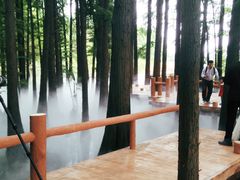 -东湖落雁景区