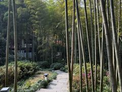 -杭州黄龙洞
