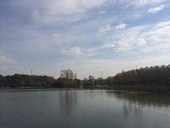 -昆山城市生态森林公园