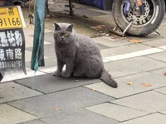 -杨记清芳牛肉拉面(京广路店)