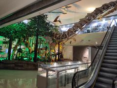 -甘肃地质博物馆