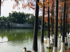 -东莞市可园博物馆