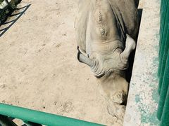 -哈尔滨北方森林动物园